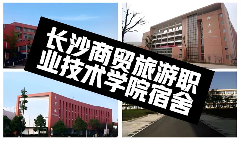 商品批发采购风向标：行业动态追踪